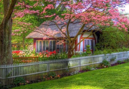 Sweet Little Red & White House - house, grass, fence, home, tree, tiny, white, red, cute, trim, picket