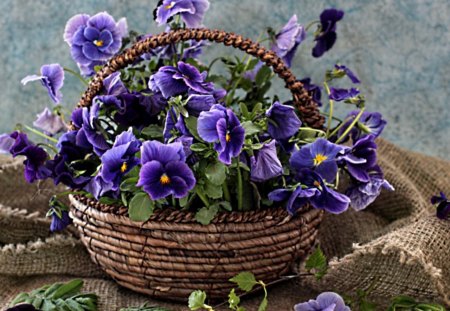 Cute basket - purple, petals, bouquet, violets, flowers, basket, lovely, still life