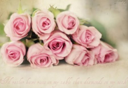 Soft Roses - flowers, roses, pink, soft