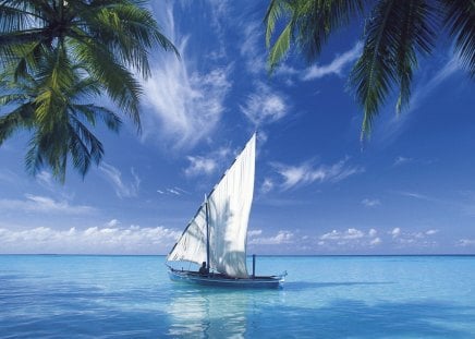 Beautiful Scenery - clouds, trees, water, scenery, beautiful, boat, blue sky, sea, ocean, nature