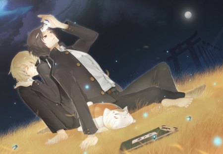 Serenity - moon, sky, cat, night, book, school uniform, calm, evening, boys, relax