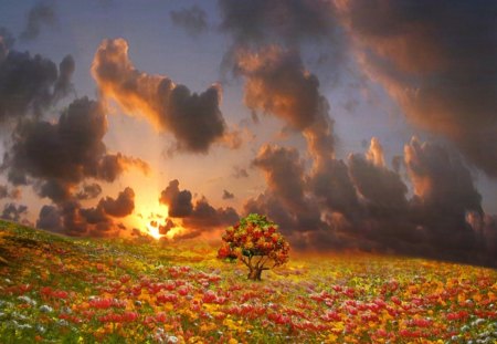 Lovely Fantasy Sunset - lovely, fantasy, nature, sunset