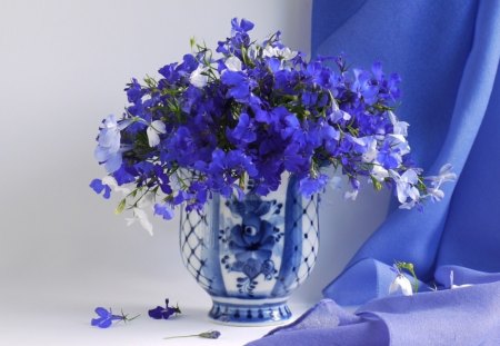 still life in blue - nature, flowers, still life, blue