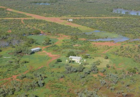 Outback Australian Property - nature, property, cattle, aussie