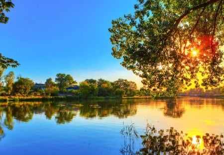 Reflection - lake, plants, landscape, reflections, trees, nature