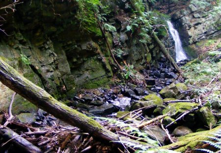 Waterfall - nature, trees, waterfall, rocks