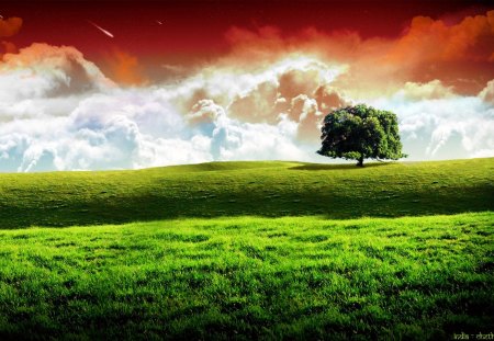 Wonderful nature - nature, sky, tree, grass