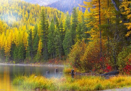 Autumn paradise - landscape, river, tree, nature, mountain