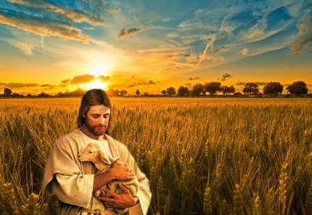 My Good Shepherd Jesus Christ - christ, jesus, sunset, shepherd, sheep, field, god