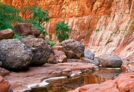 Canyon Landscape - trees, nature, stream, park, rocks, canyon