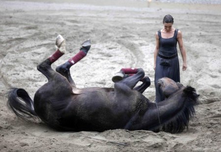 tenderness, between woman and horse - woman, between, horse, and, tenderness