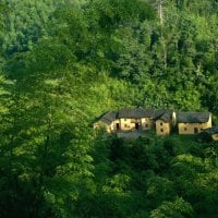 House in Middle of Forest