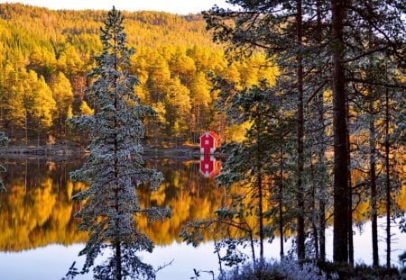 Lakeside cabin - summer, cabin, reflection, crystal, calmness, shore, red, lake, cottage, house, water, beautiful, mirrored, lakeside, natire, colorful, river, autumn, serenity, lone, peaceful