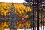 Lakeside cabin