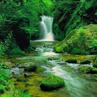 Waterfall among greenery