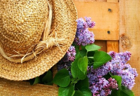 Freshly picked lilacs - nice, fence, fresh, hat, straw, pick, summer, lovely, lilacs, pretty, beautiful, door, flowers