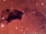 Bok Globules in NGC 281