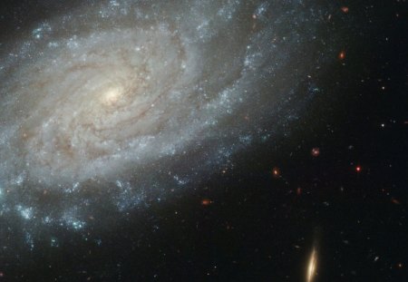 Spiral Galaxy NGC 3370 - spiral galaxy, ngc 3370