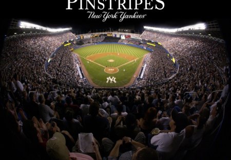 Untitled Wallpaper - pride, yankee stadium, power, dude, yankees, pinstripes