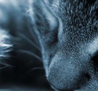 Untitled Wallpaper