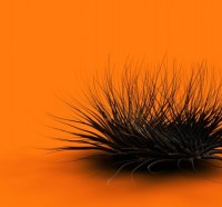 Fuzzy Thing On Orange Field