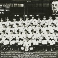 NY yankees