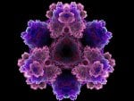 Fractal purple