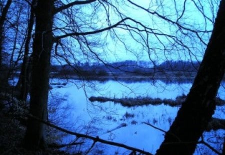 Blue Lake - trees, lake, night, peaceful, blue lake, dark