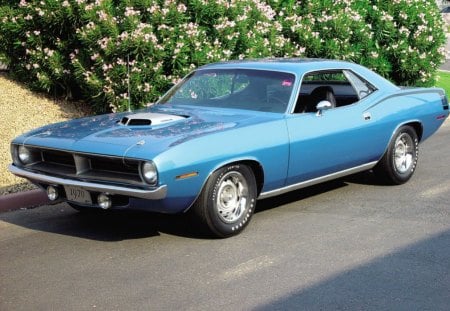 Plymouth Barracuda 1970 - plymouth, barracuda, 1970