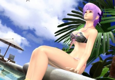 Dead or Alive Xtreme Volley Ball - girls, games, dead or alive xtreme volleyball