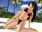 Dead or Alive Xtreme Volley Ball