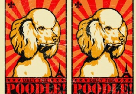 Obey Thy Poodle  - poodles, pride, kind, respect