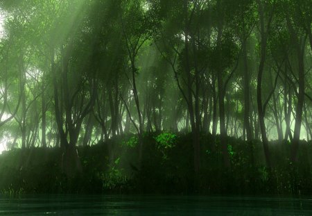 verdure - forest, trees, verdure, wds, green