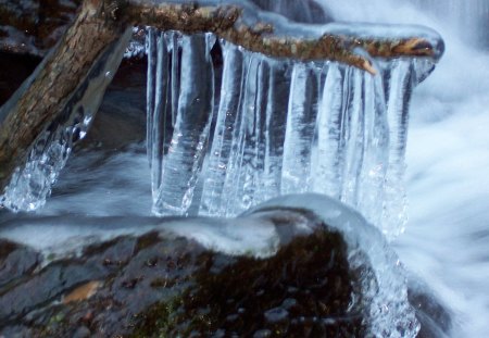 nature - nature, rivers