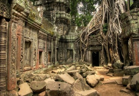 ta pom temple cambodia - temple, cambodia