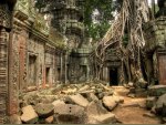 ta pom temple cambodia