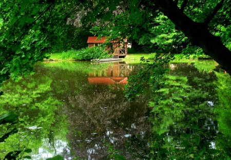 The Green - lake, trees, nature, green