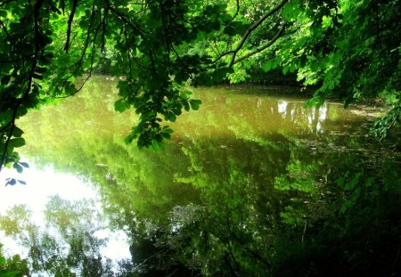 The Green  - nature, green, lake, trees