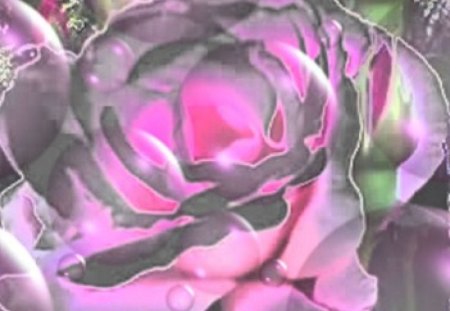 Pastel Chrome Rose