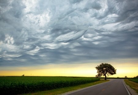 Amazing Sky - amazing, splendor, landscape, grass, view, sky, storm, clouds, trees, beautiful, road, stormy, beauty, lovely, tree, nature, sunset, green, peaceful