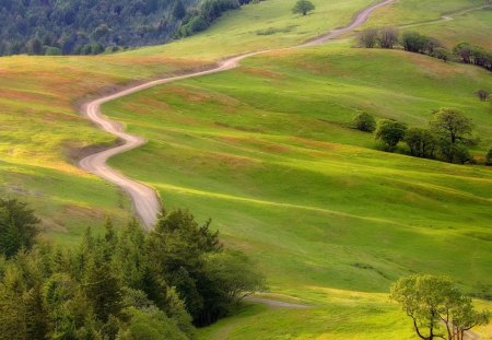 Parque nacional da California - paisagem, california, parque, linda, usa, natureza