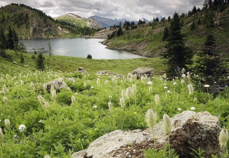 Paisagem Canadense - paisagem, natureza, canada, arvores, lago