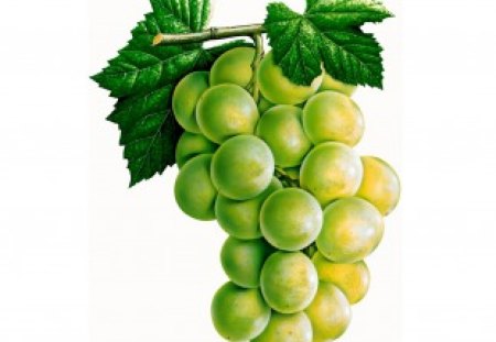 Green grapes - eat, grape, health, food, fruit