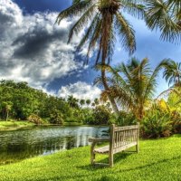 Sitting By The River Bed