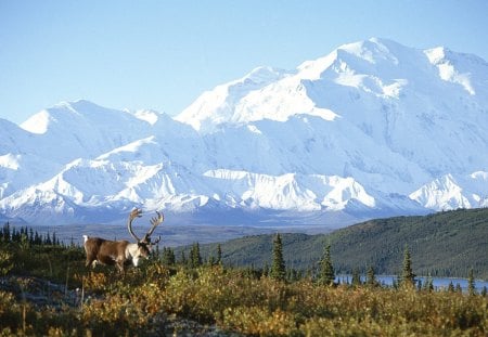 Parque nacional do Alaska - ceu, parque, natureza, montanhas, bonita