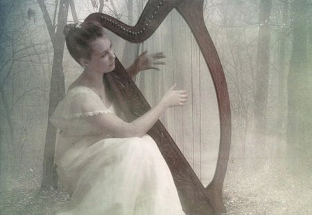 Forest Hymn - forest, harp, hymn, fairy, musical, fantasy