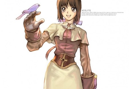 Acolyte - ragnarok online, acolyte, ragnarok, gravity, ro