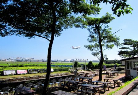 Casual restaurant - aircraft, casual restaurant, take off, airport