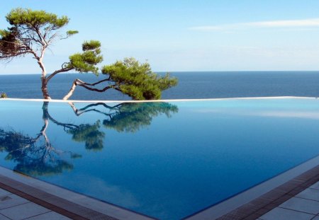 Pool - blue, scenery, tree, place, pool