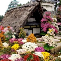 A Thatched Roof & Flowers Galore!